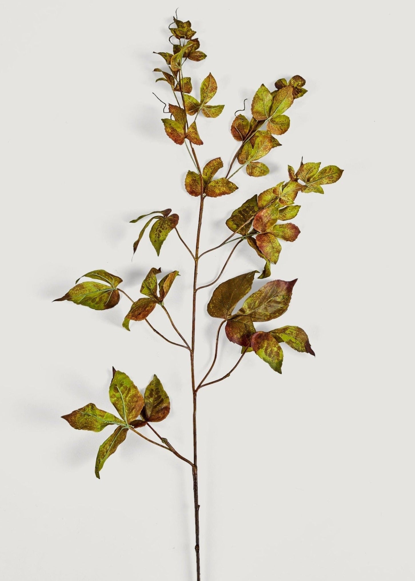 Faux Grape Ivy Garland Stem in Green Eggplant - 48"