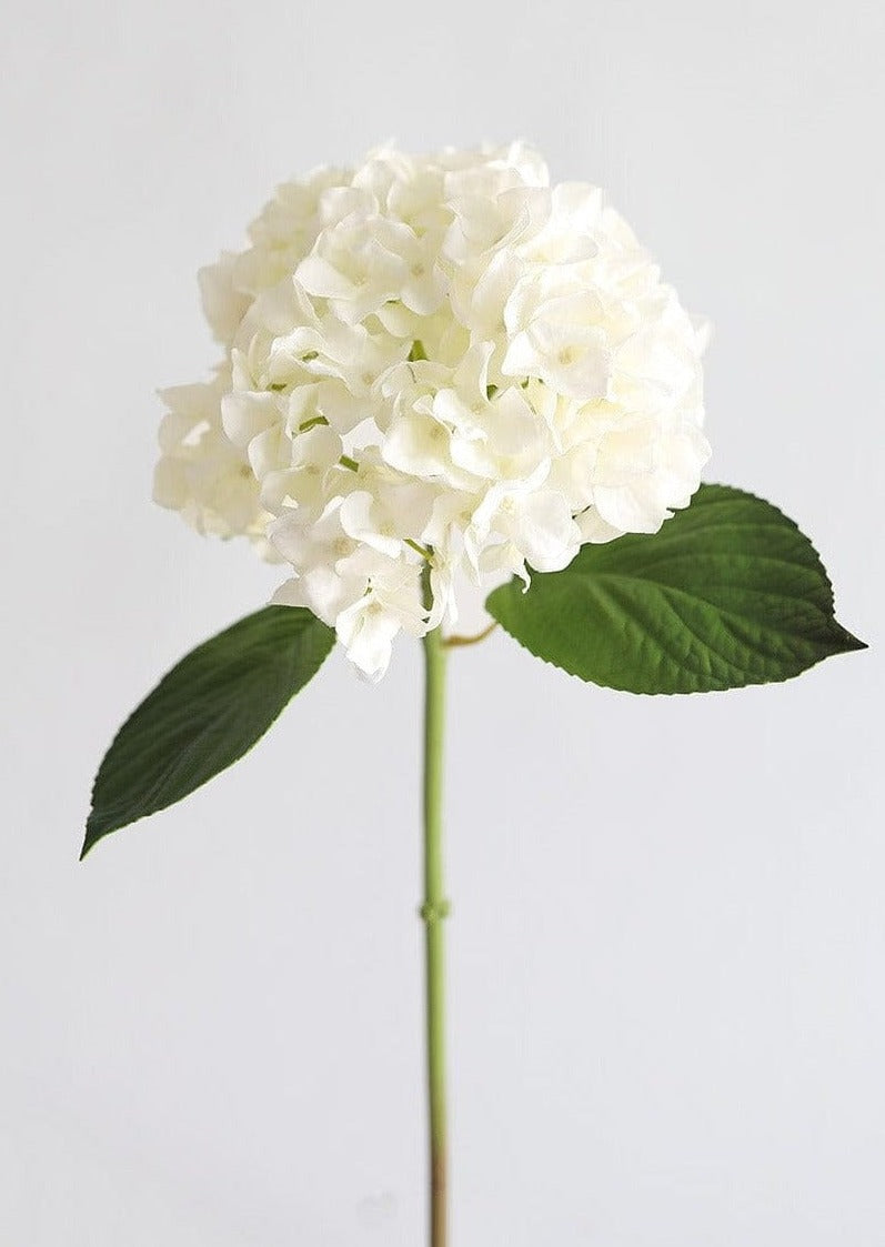Faux Flowers Real Touch Hydrangea Stem in Talc White - 18"