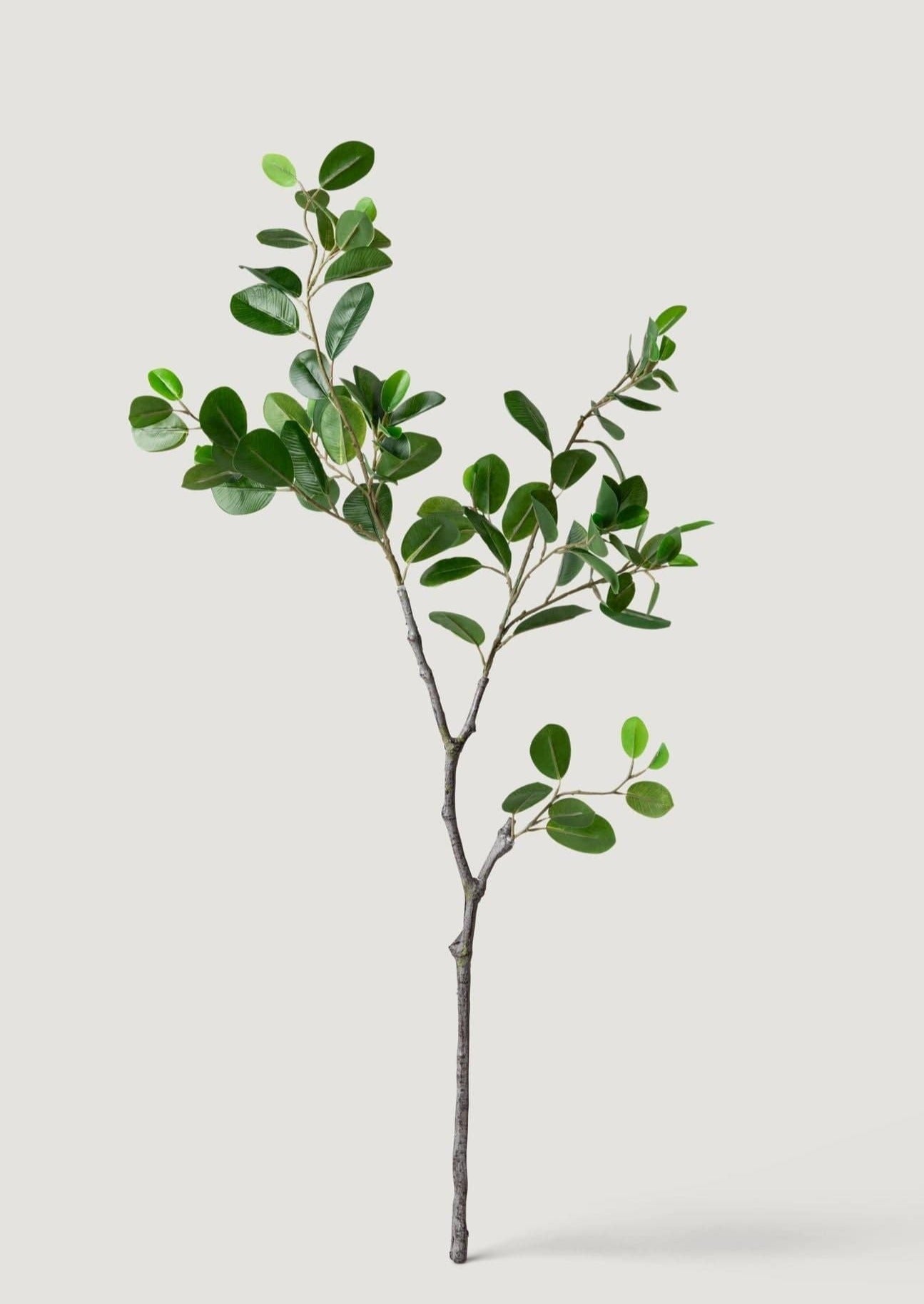 Faux Italian Ficus Branch - 38"