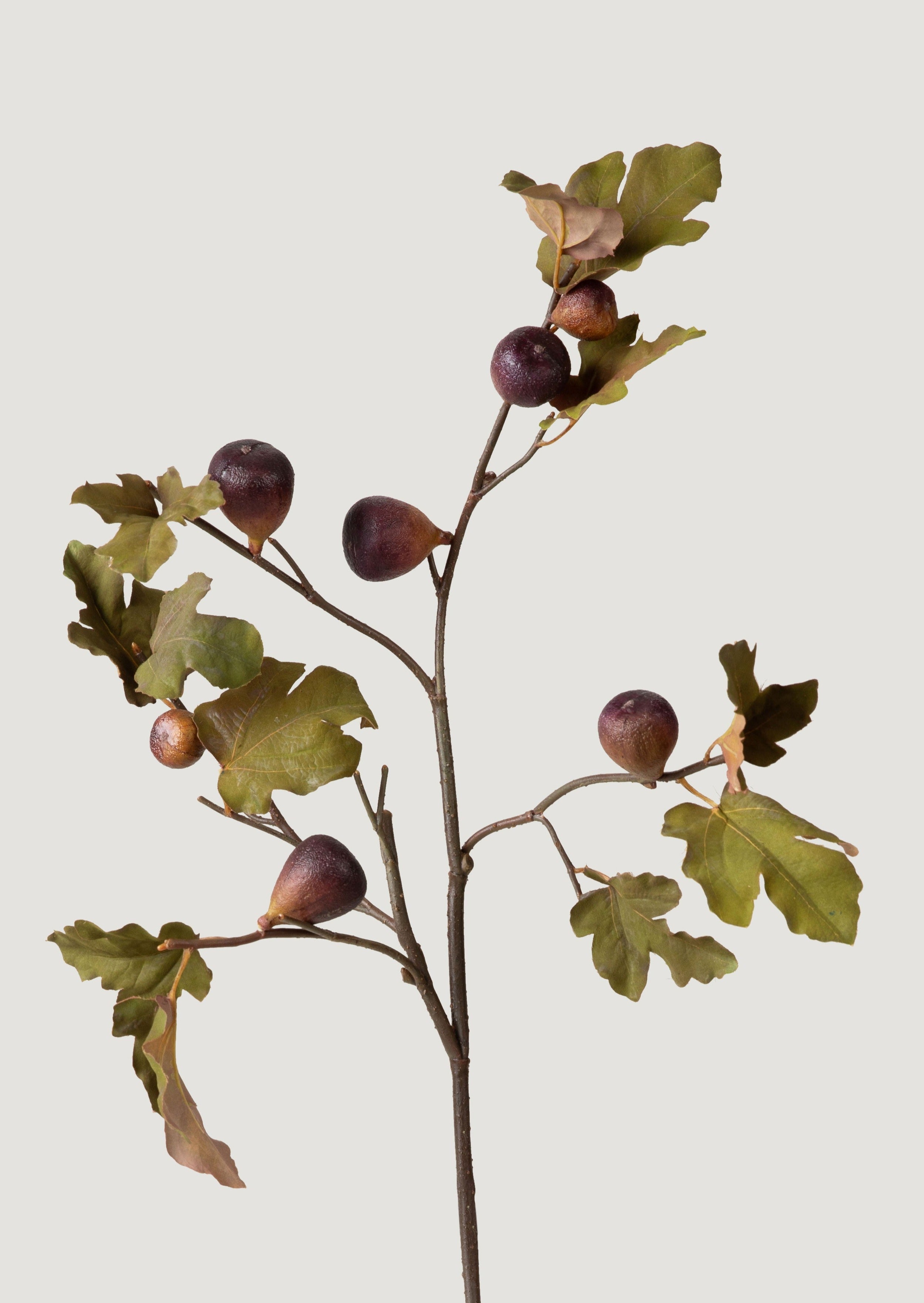 Faux Fig Branch in Eggplant - 37"