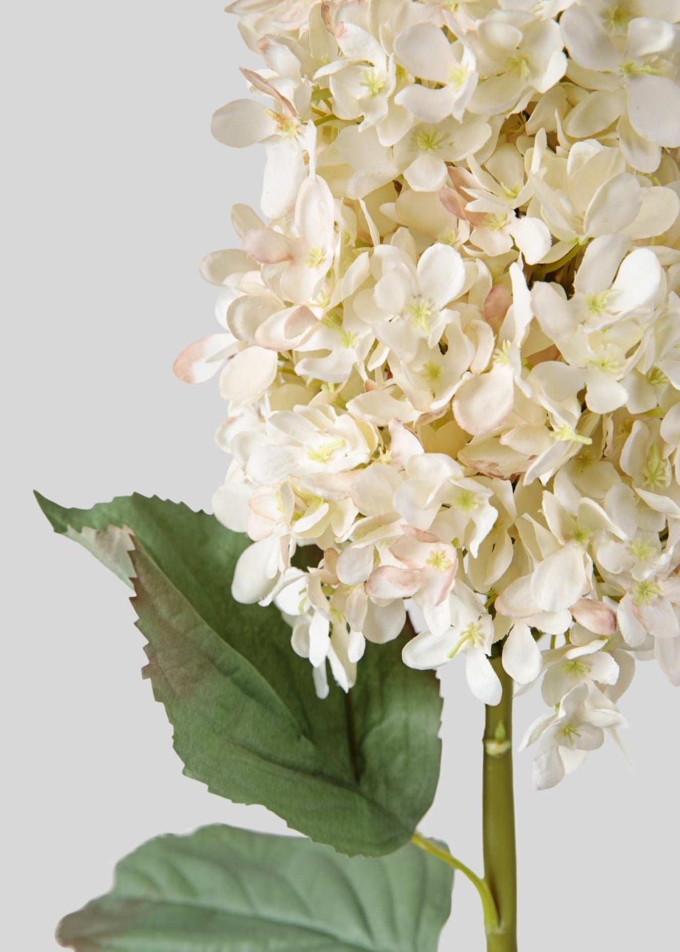 Large Faux Dried Cone Hydrangea in Parchment