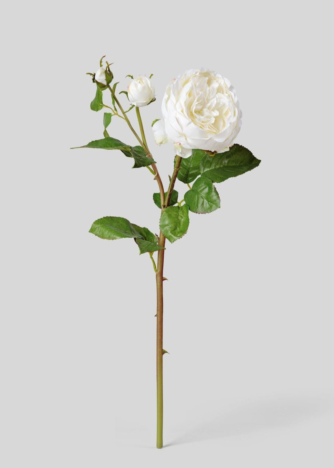 Faux English Rose with Bud - 21"