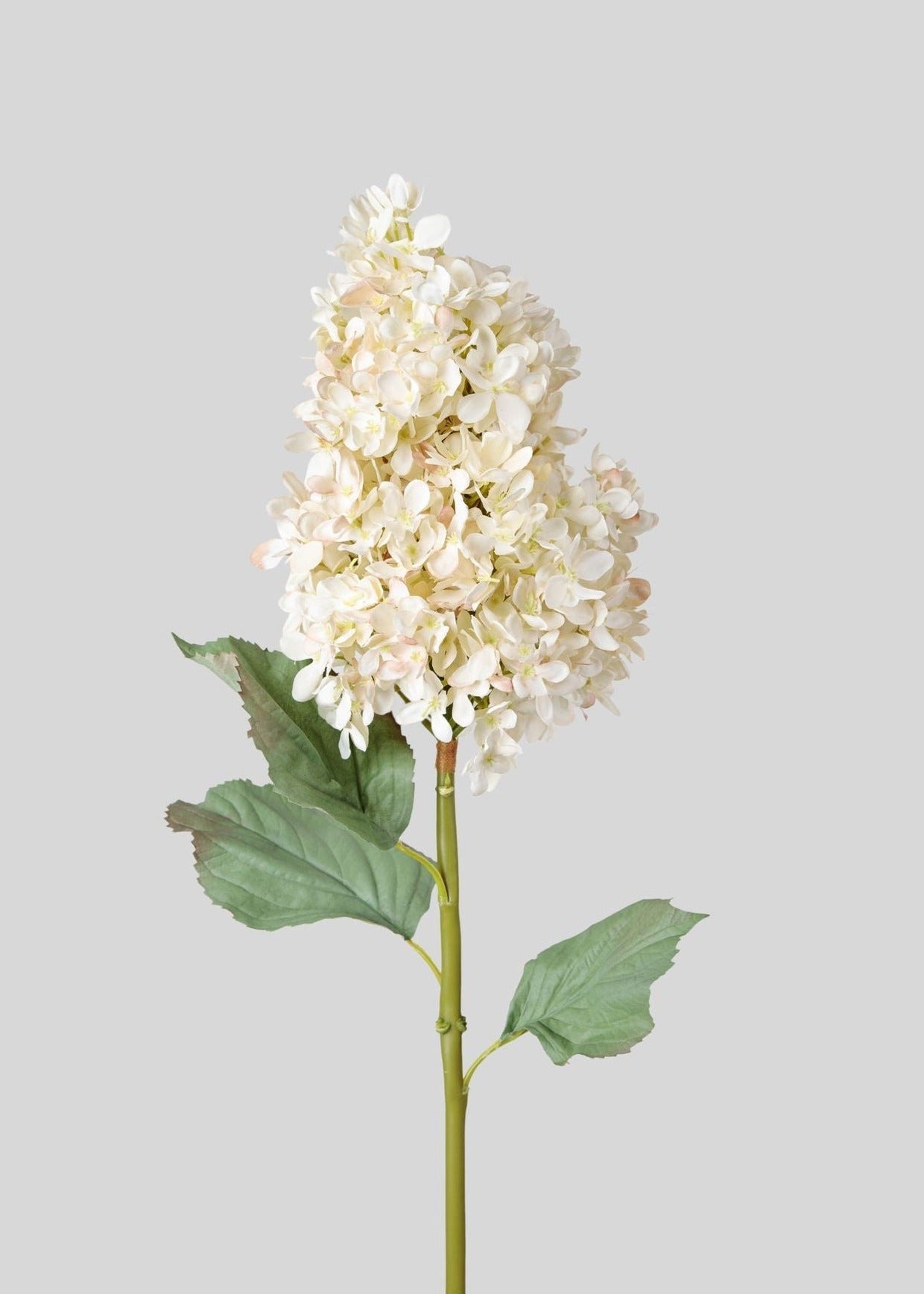 Large Faux Dried Cone Hydrangea in Parchment