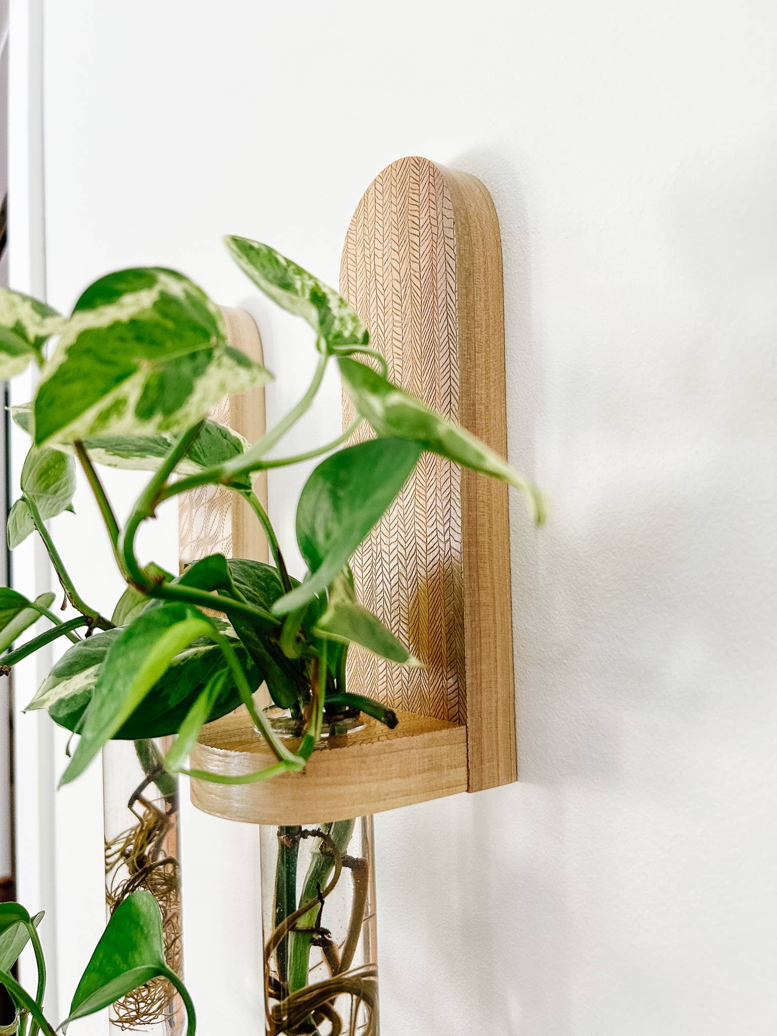 Living Plant Wall Shelf