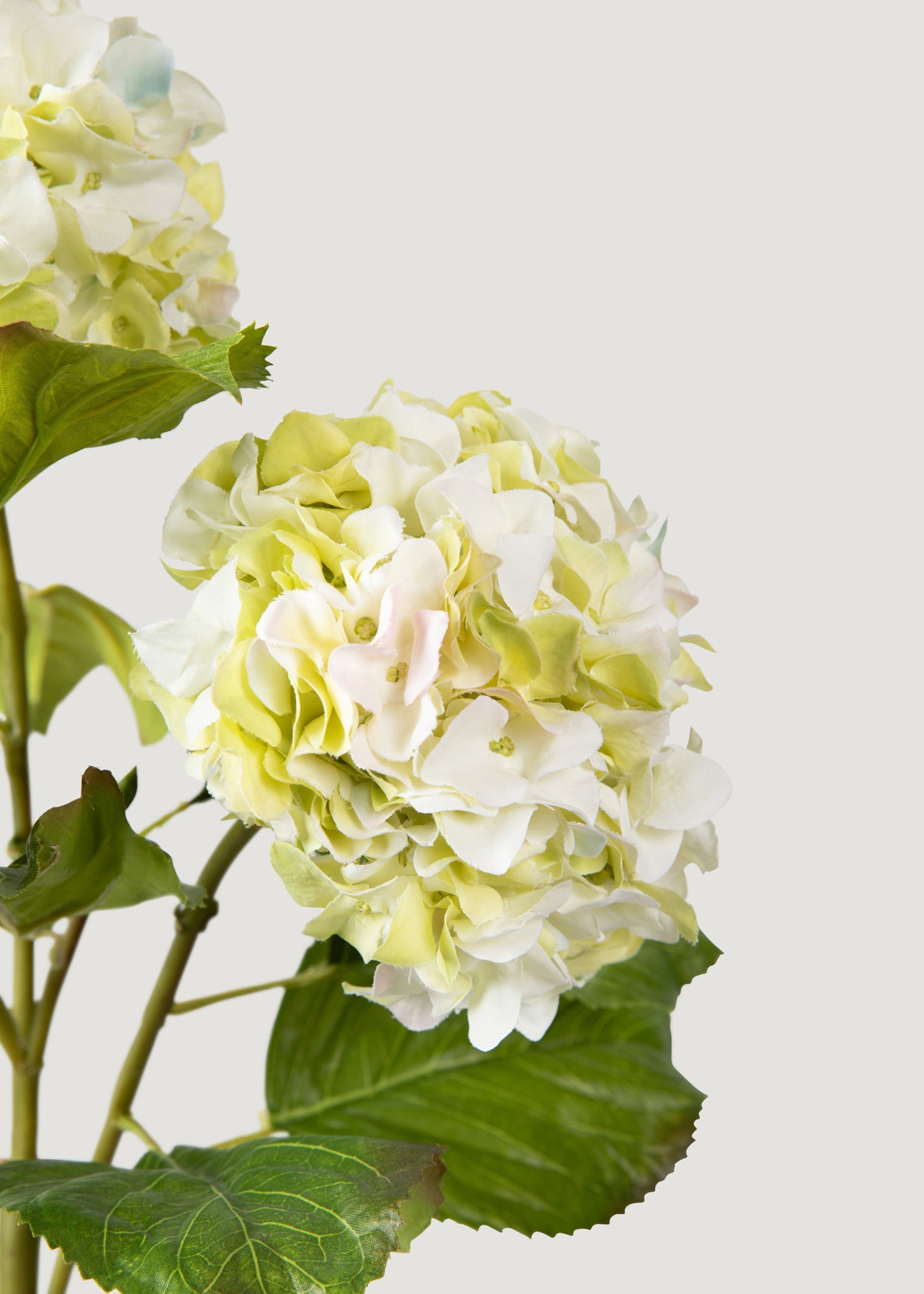 Cream Green Artificial Hydrangea Branch - 36"