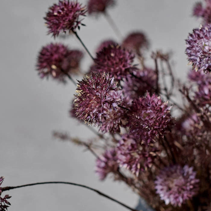 Melaleuca Purple Stem