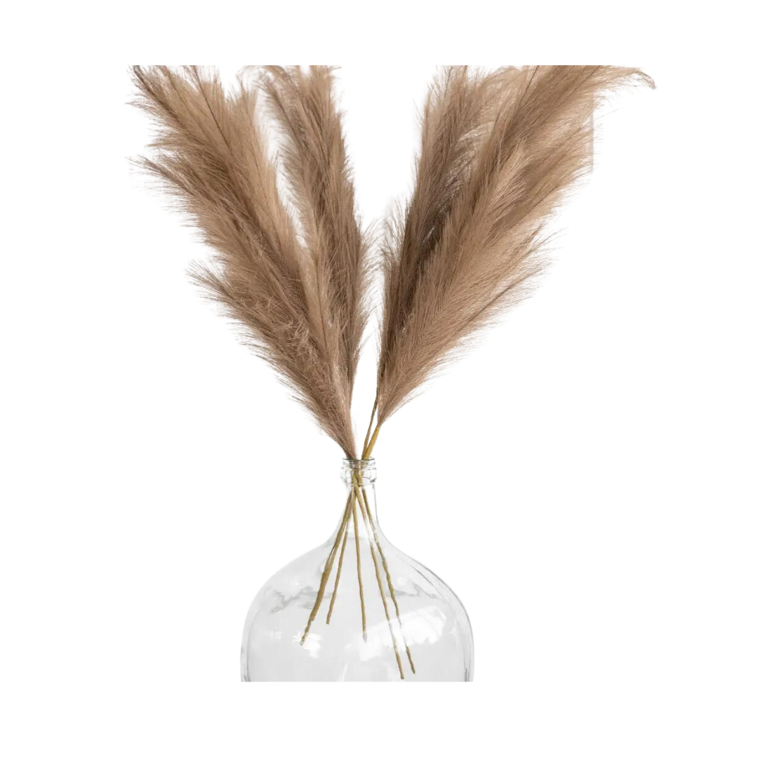 Brown Natural Pampas Grass Stem