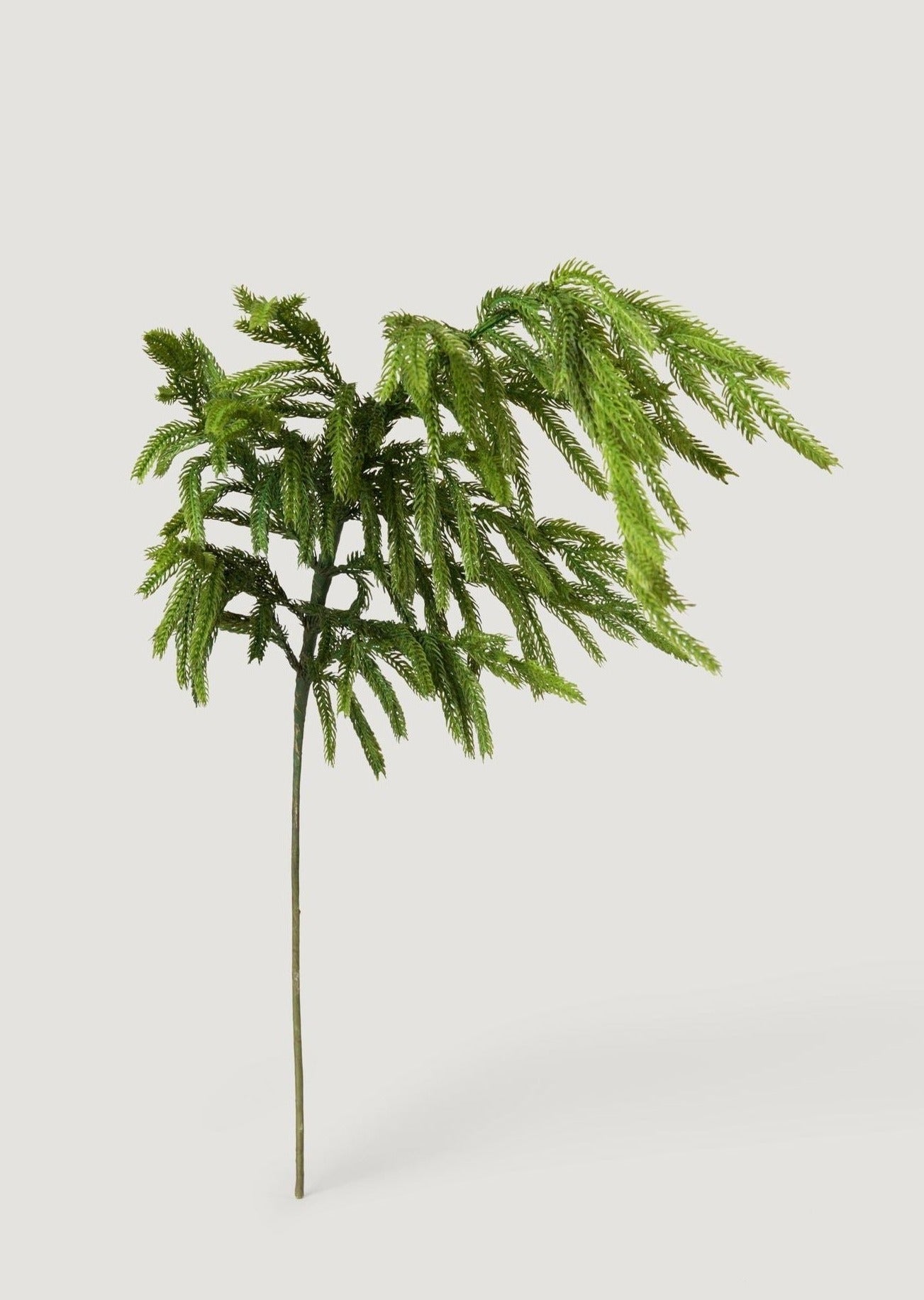 Pine Branch - 36"