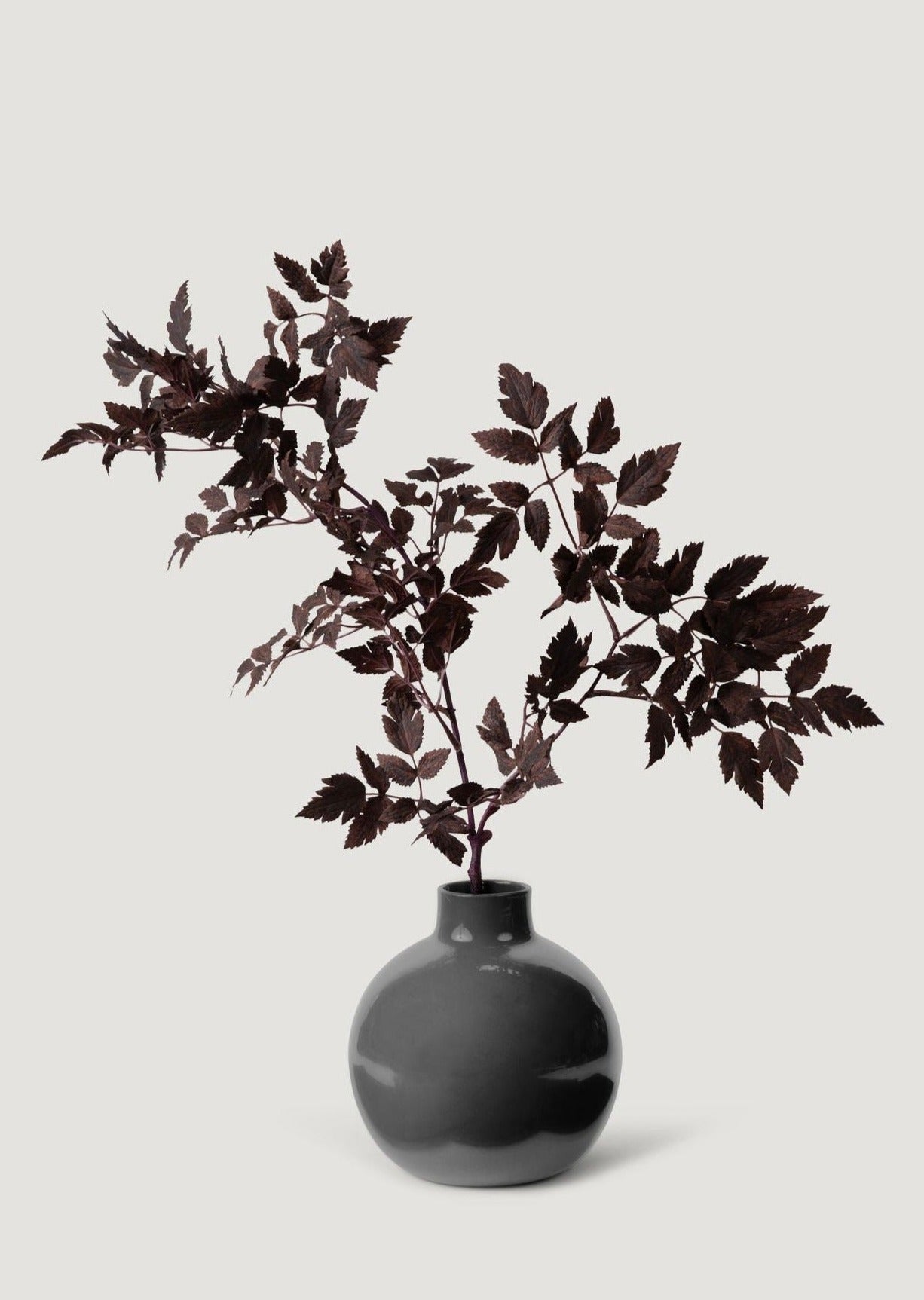 Plum Artificial Cimicifuga Plant Leaf Spray - 31"