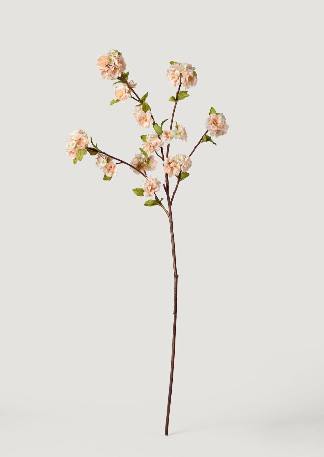 Cream Linen Peach Blossom Branch - 47"