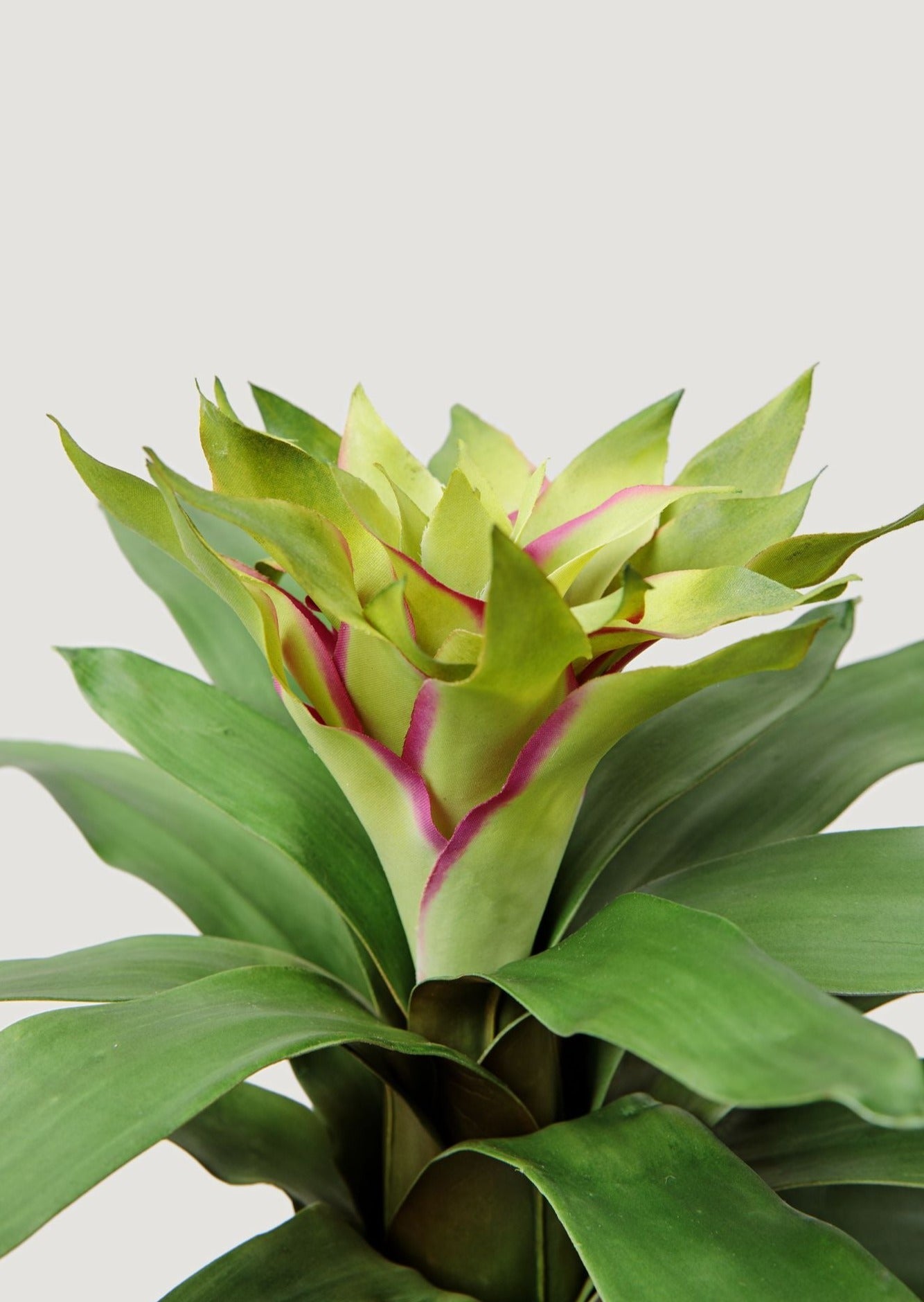 Artificial Tropical Bromeliad Plant in Green - 20"