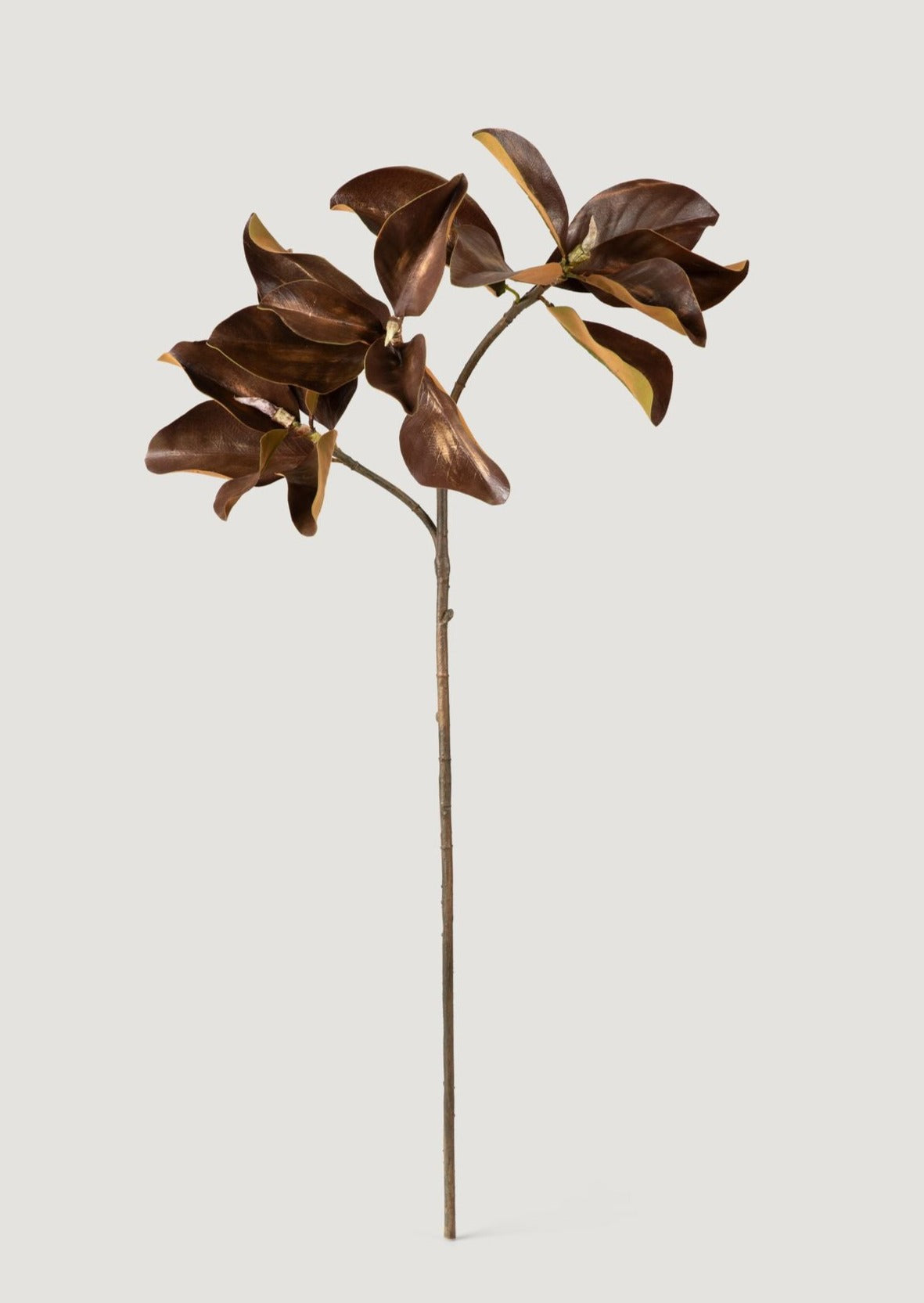 Magnolia Leaf Branch - 38.5"