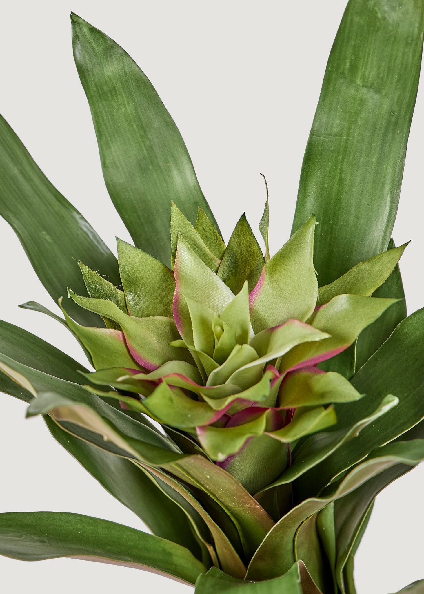 Artificial Tropical Bromeliad Plant in Green - 20"