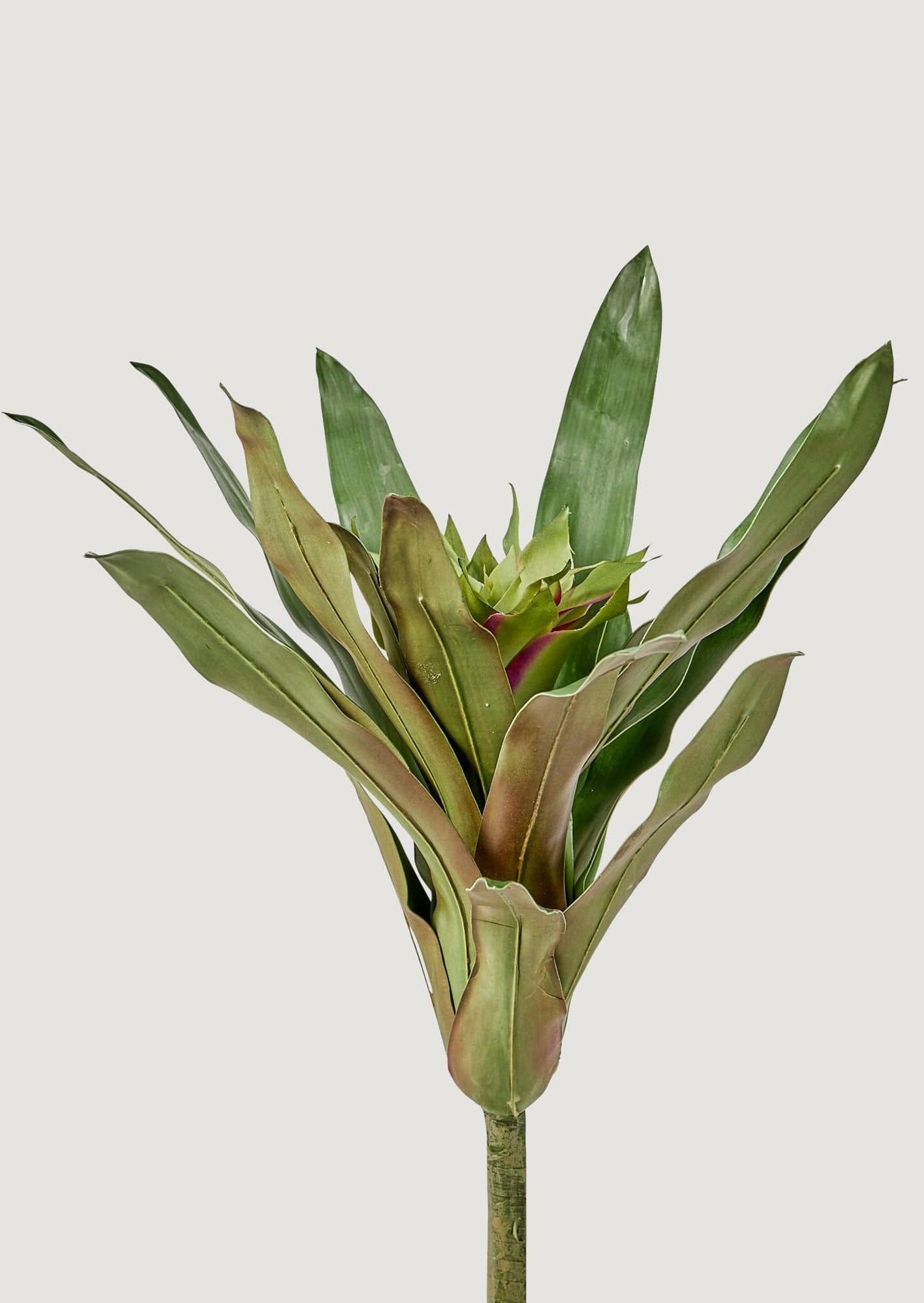 Artificial Tropical Bromeliad Plant in Green - 20"