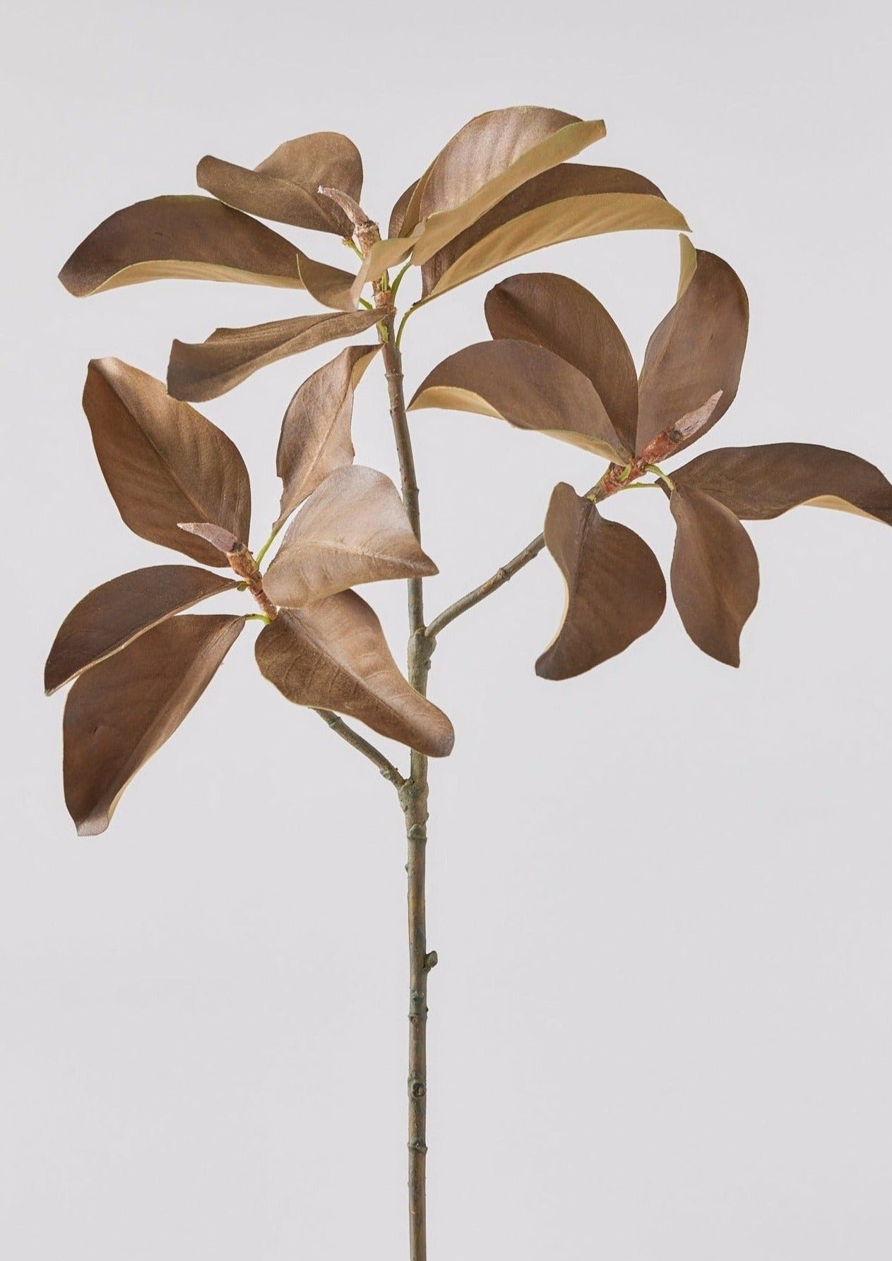 Magnolia Leaf Branch - 38.5"