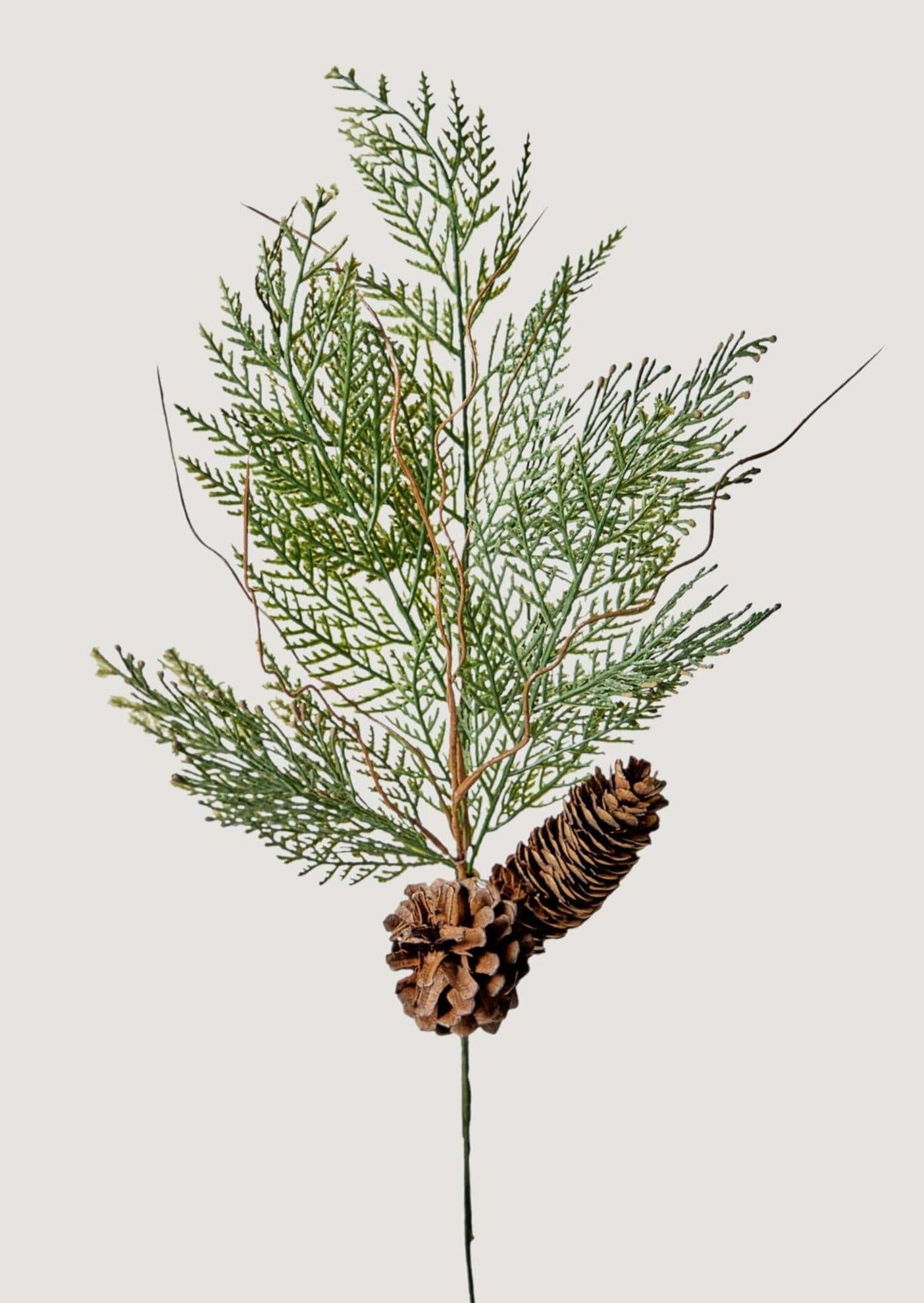 Faux Cedar and Pine Cone Branch - 22"