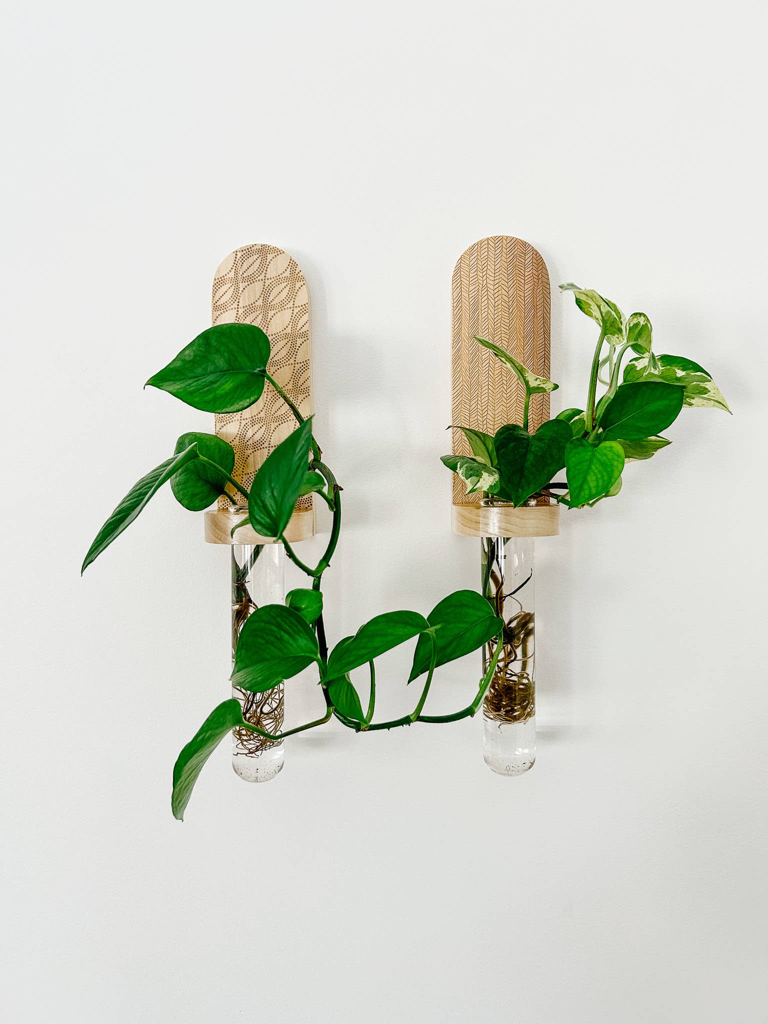 Living Plant Wall Shelf