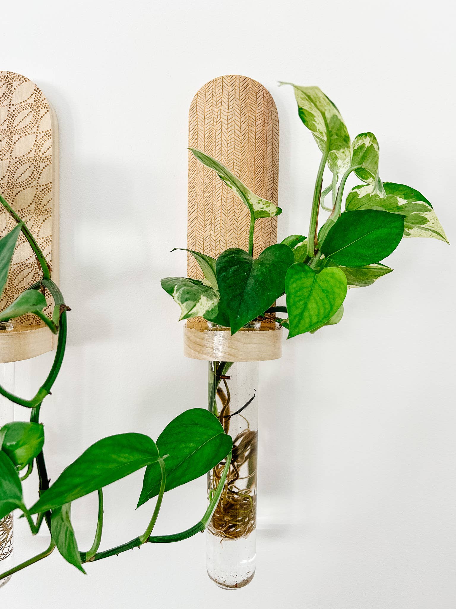 Living Plant Wall Shelf