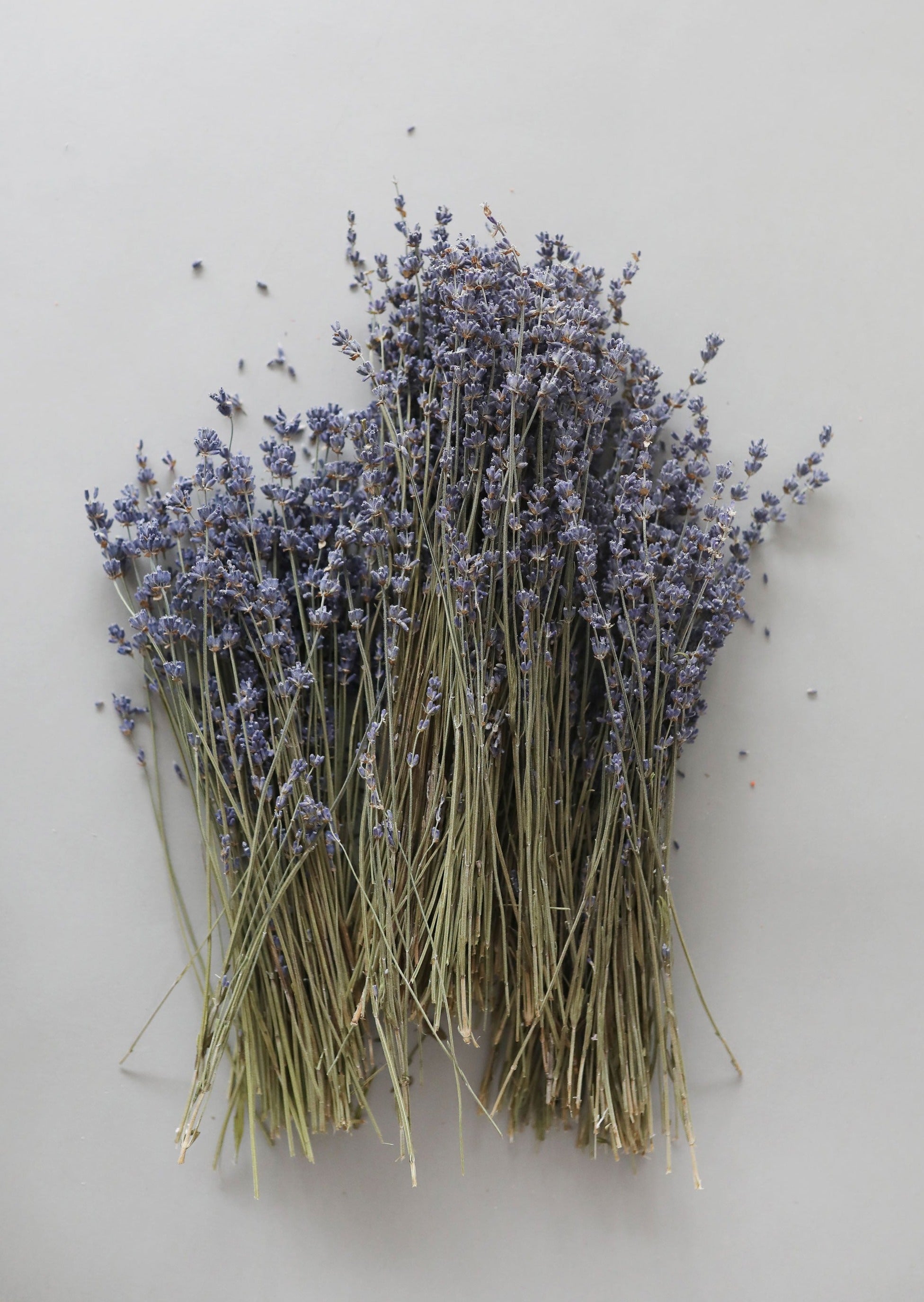 Natural Fragrant Dried Lavender Bundle - 6-14"